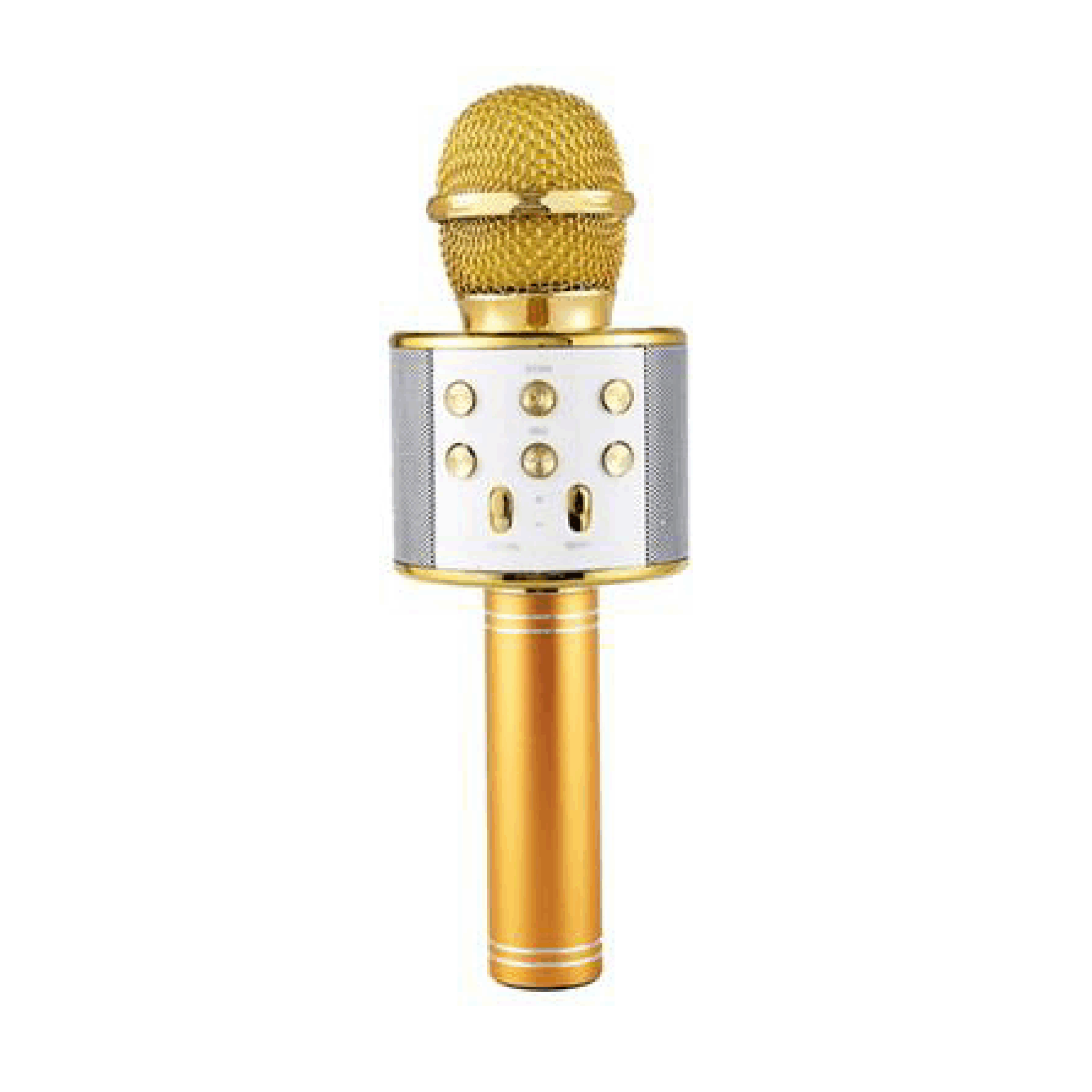 Microphone WS 858 2 scaled