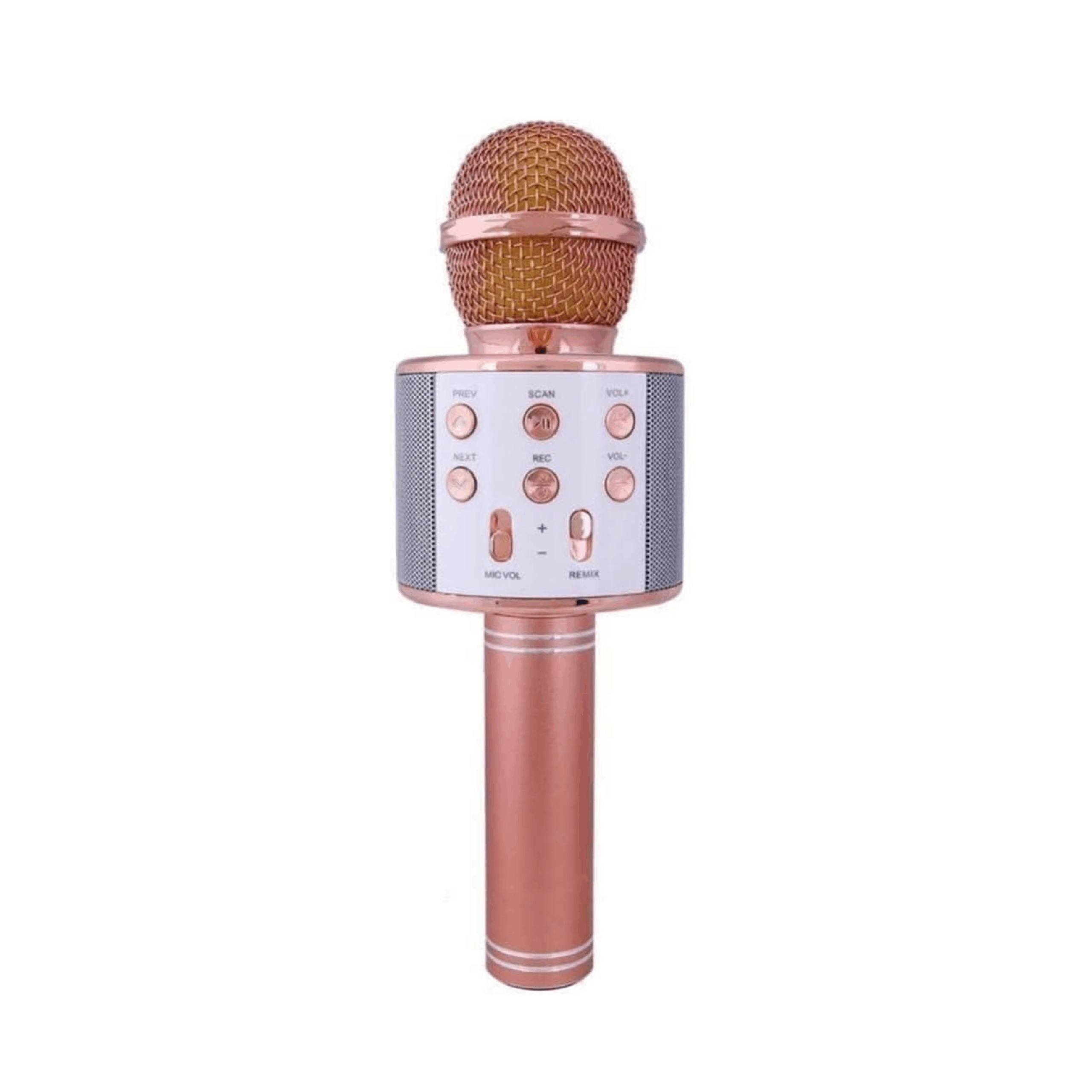 Microphone WS 858 scaled