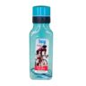 ICY Freezer Water Bottle 750 ml