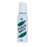 Fogg Master PINE Deodorant No Gas Body Spray For Men 120ml