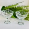 Vibrant Designs High Quality Glass Dessert Bowl 2 pcs