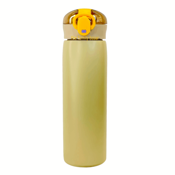 Stainless Steel Sealed Cups Insulated Thermotolerant Water Bottle 450ml - Image 5