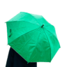 Green Auto Open Umbrella 10 Ribs Light