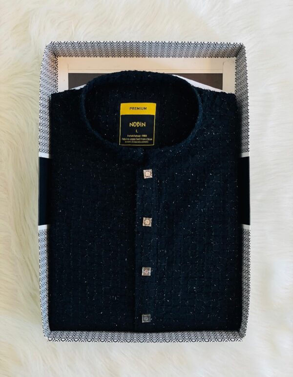 Regular Fit Premium Panjabi – 17 - Image 2