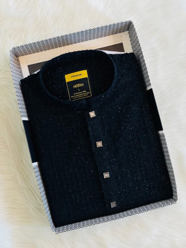 Regular Fit Premium Panjabi – 17 - Image 3