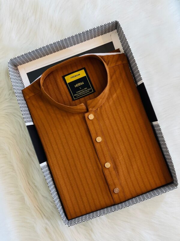 Regular Fit Premium Panjabi - 01 - Image 3
