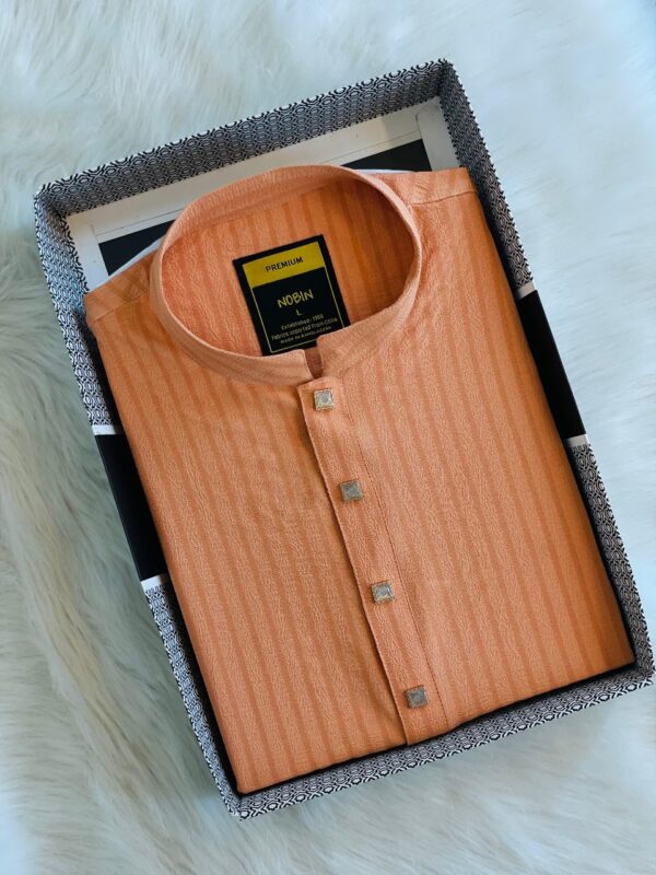 Regular Fit Premium Panjabi – 05 - Image 2