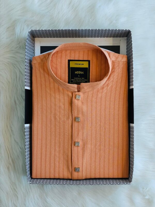 Regular Fit Premium Panjabi – 05 - Image 3