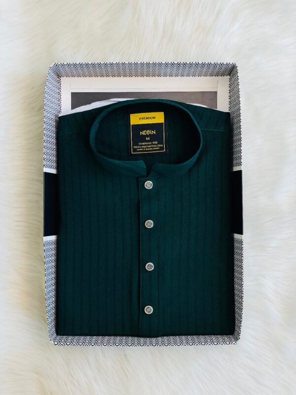 Regular Fit Premium Panjabi – 09 - Image 3