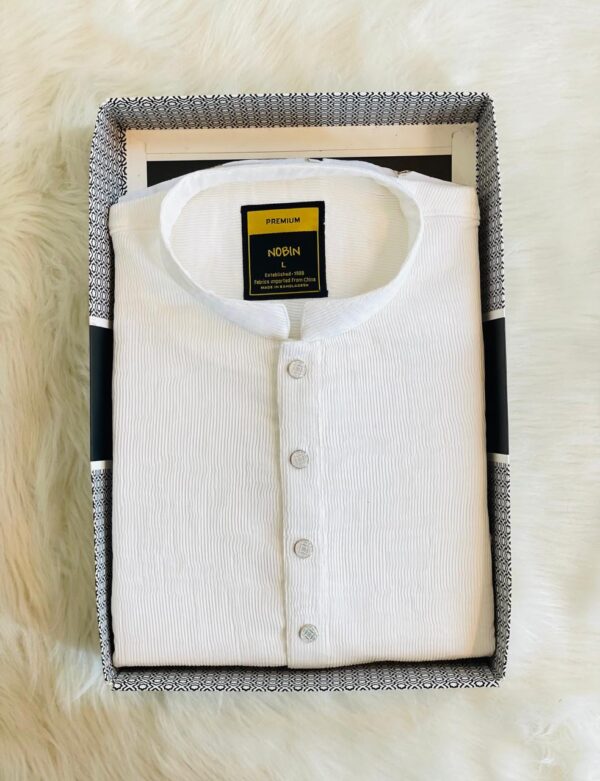 Regular Fit Premium Panjabi – 10 - Image 2