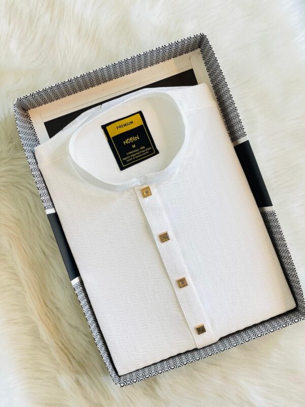 Regular Fit Premium Panjabi – 12 - Image 3