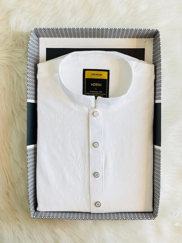 Regular Fit Premium Panjabi – 13 - Image 2