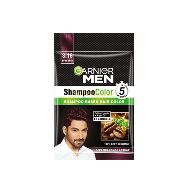Garnier Men shampoo colour burgundy 90
