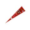 Kashmiri Fast Colour Cone Mehedi |1 PCS