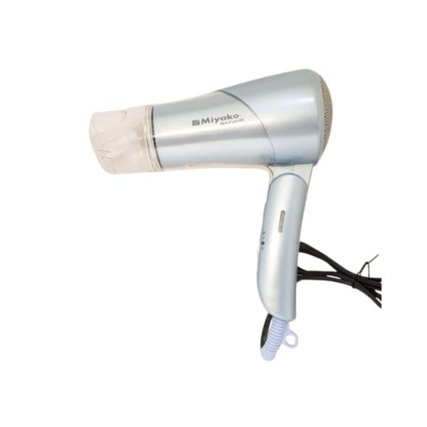 Miyako Hair Dryer | RCY