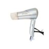 Miyako Hair Dryer | RCY