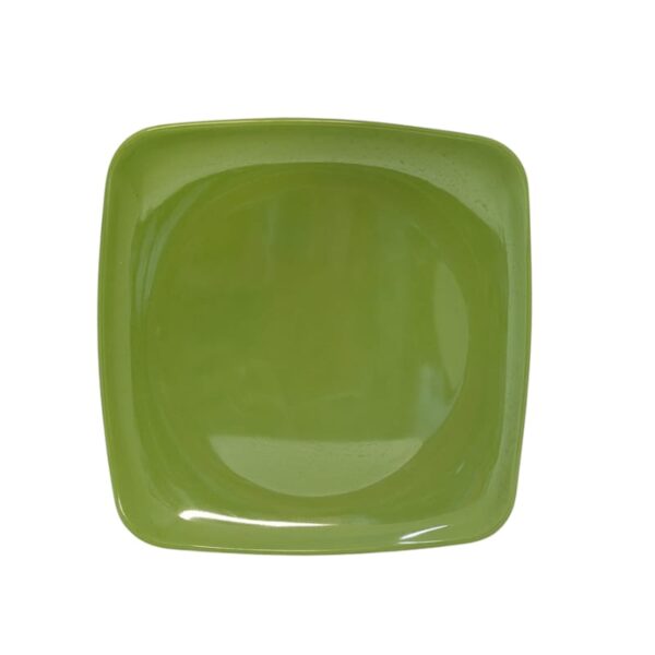 Green Square Rounded 10" Dinner Plastic Plates | For Home Or Party