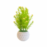 Artificial Potted Plant | Home and Office Decor