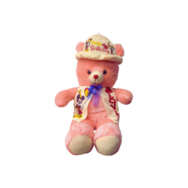 Pink Celebration Teddy Bear | Happy Birthday Hat and Vest