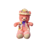 Pink Celebration Teddy Bear | Happy Birthday Hat and Vest