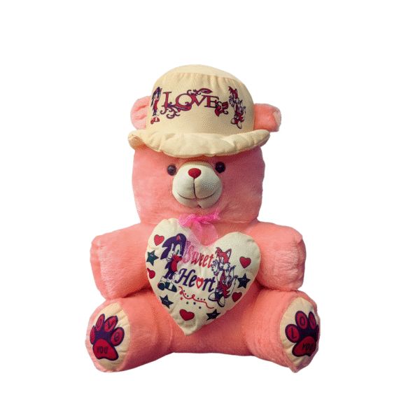 Sweetheart Pink Teddy Bear | Love Heart Pillow