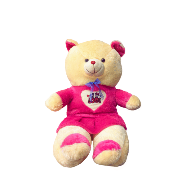 Two-Tone Teddy Bear in Pink | LOVE Outfit with Heart Accent